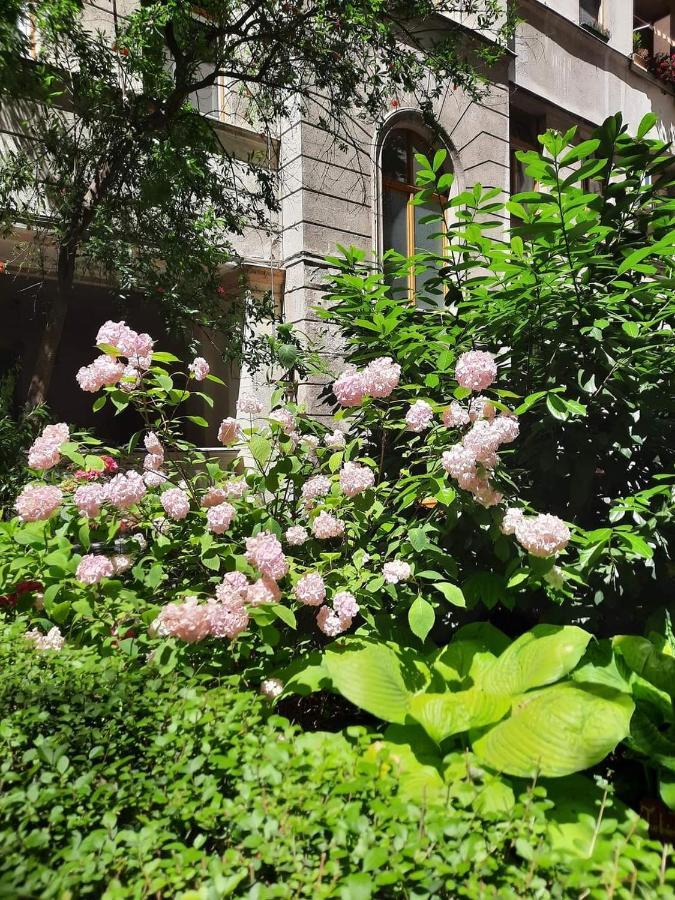 Turul Apartment Budapest Ngoại thất bức ảnh